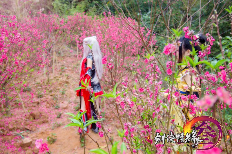 7de77ef0ad5b11e49fa09d9a1732a2ce