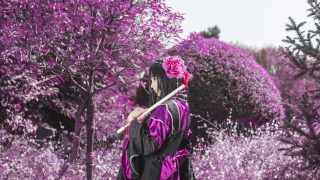 剑网三蚩灵万花萝莉 出镜：清岚-Ame