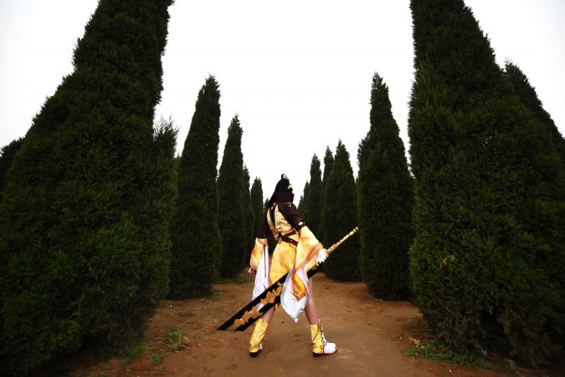 4c313430320011e58b6905a44e1ac961