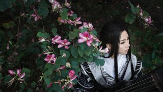 剑网3 破军万花 出镜：莫小鸟