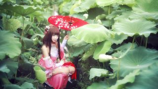 朔雪秀萝 出镜：彦合光