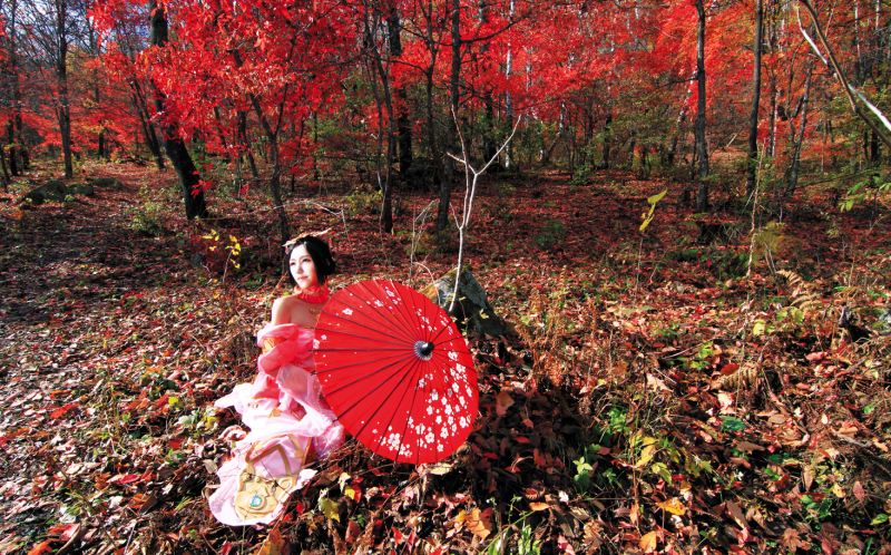 2bf8e5a0419611e58ffe672cc032adc0