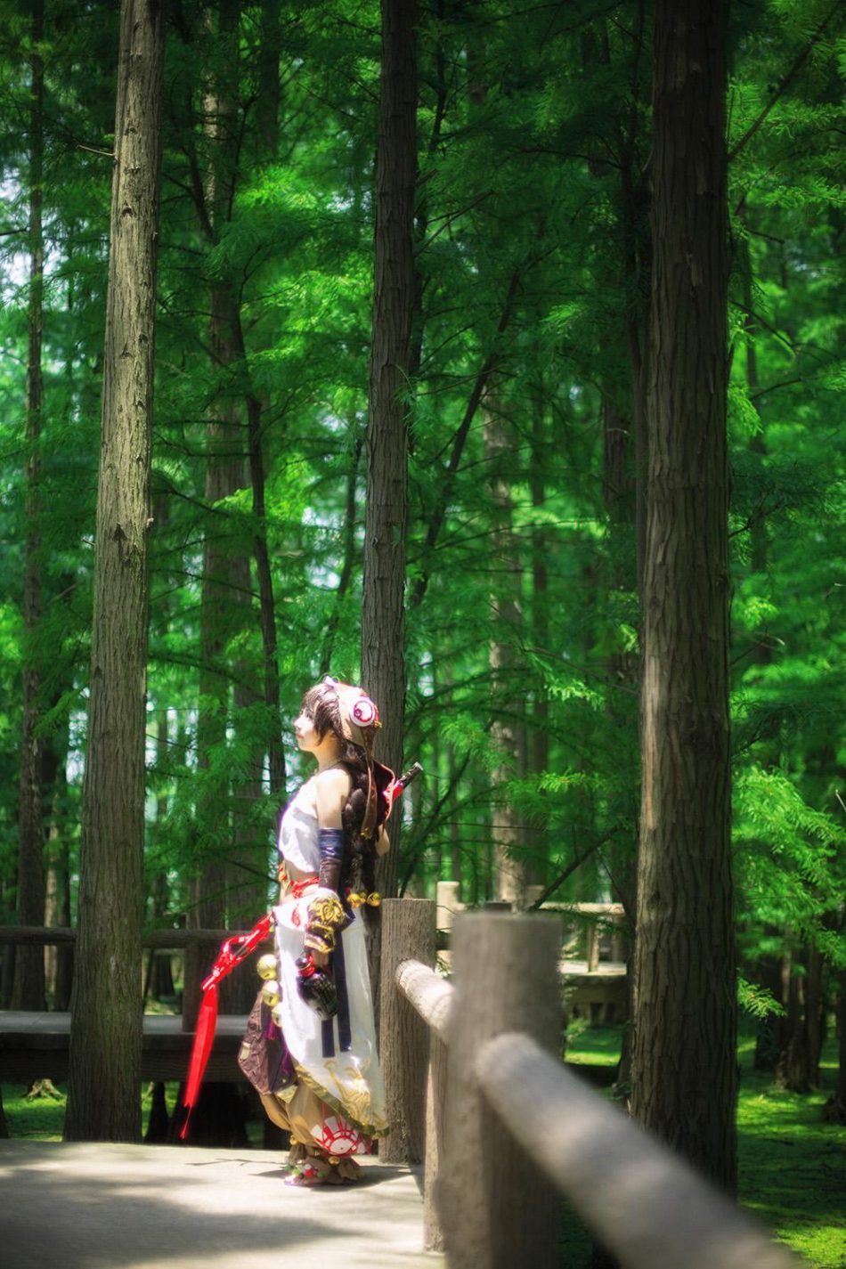 aeb369e05c7911e58db8c15fbb406b85