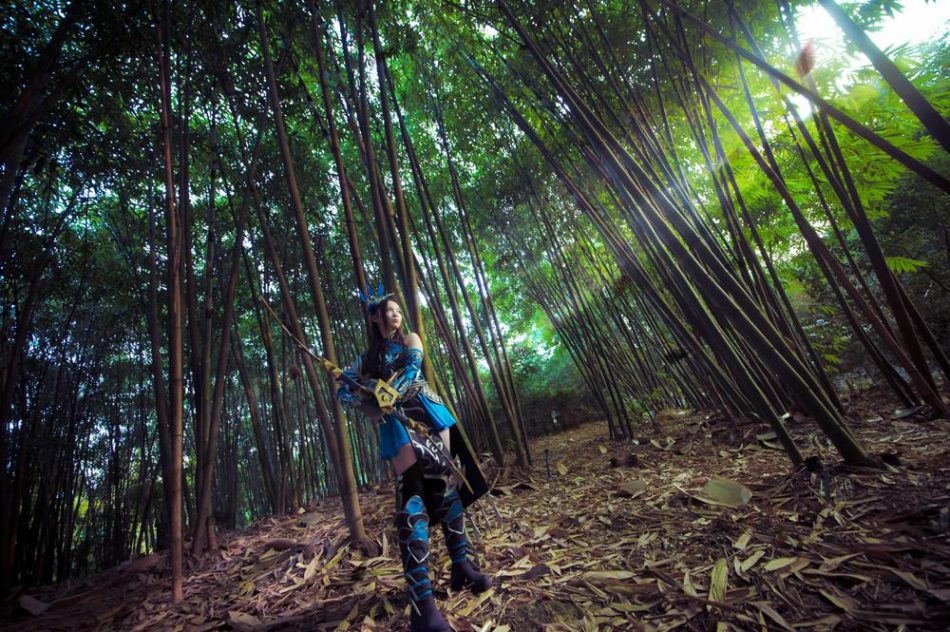 8823865078c811e598ed69eda17753d5