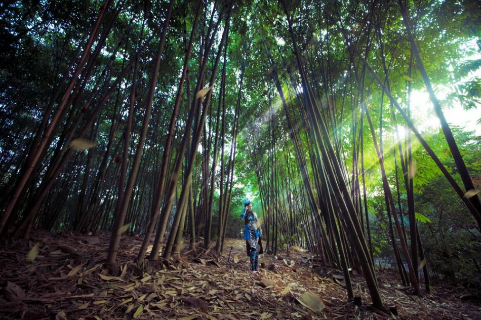 8b38677078c811e598ed69eda17753d5