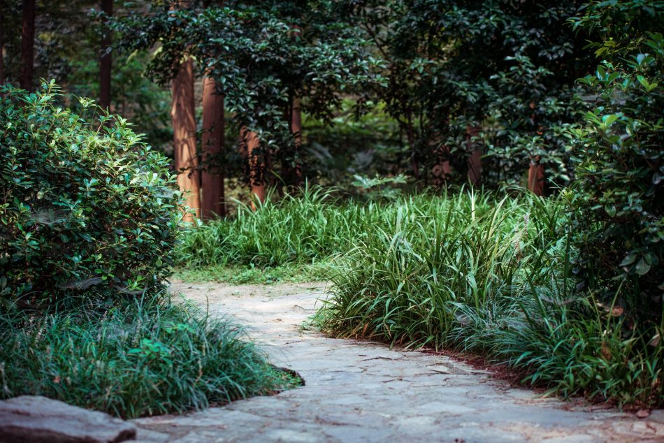 fc5e79a0afcb11e59ec88f12acaeacce