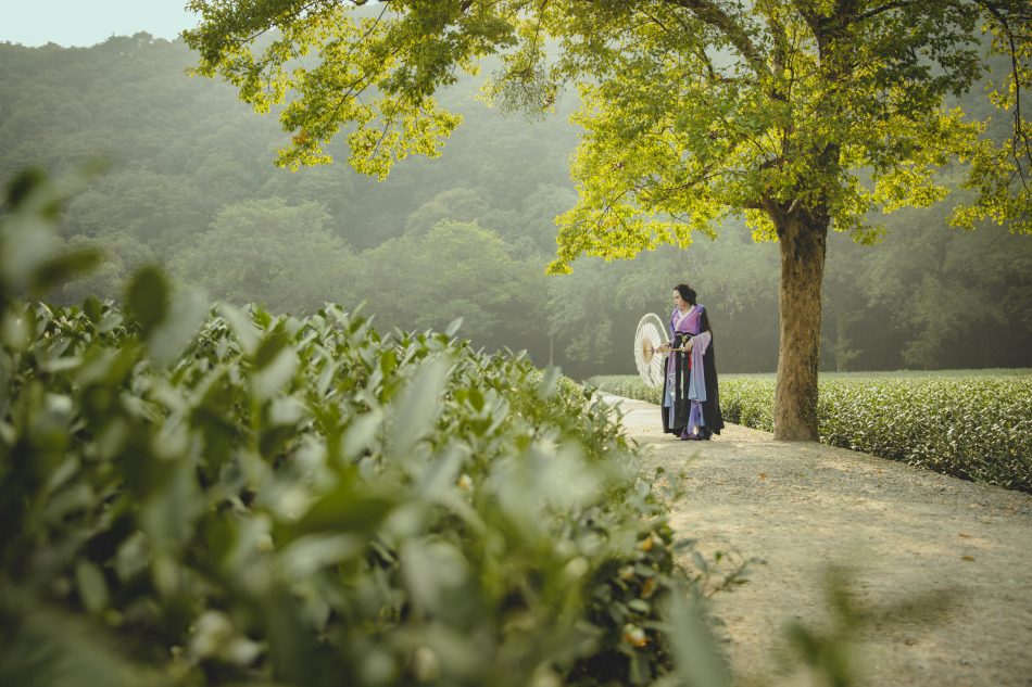 bd1e54a0934b11e5bc5c0bb35a369e45