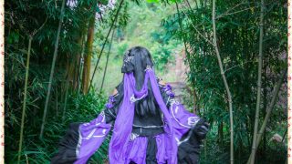 圣诞贺图-剑网三-万花日常23事 出镜：月夜猫，蚊子