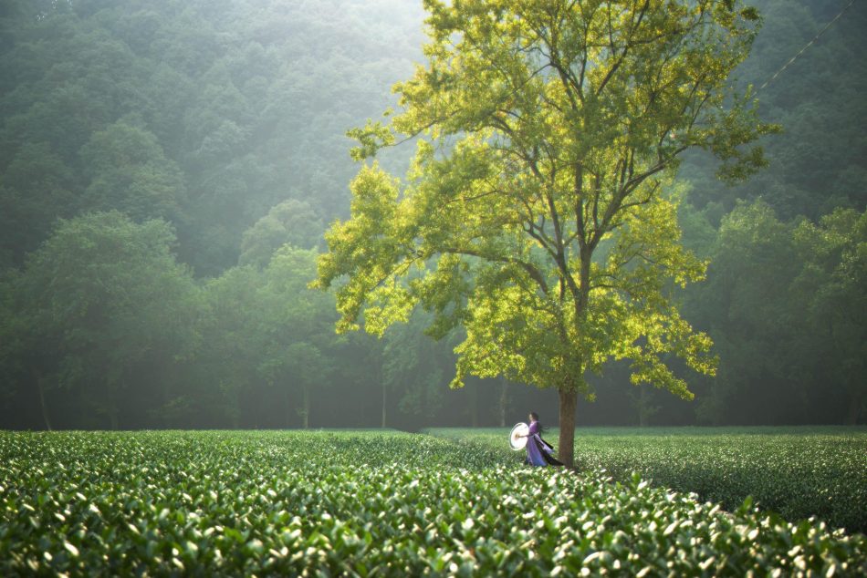 a80f1860934b11e5bc5c0bb35a369e45