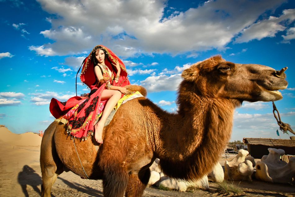 87aa7a20bdf211e58c6055605ee5bdce