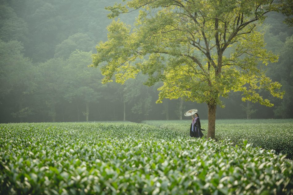 abe6d450934b11e5bc5c0bb35a369e45