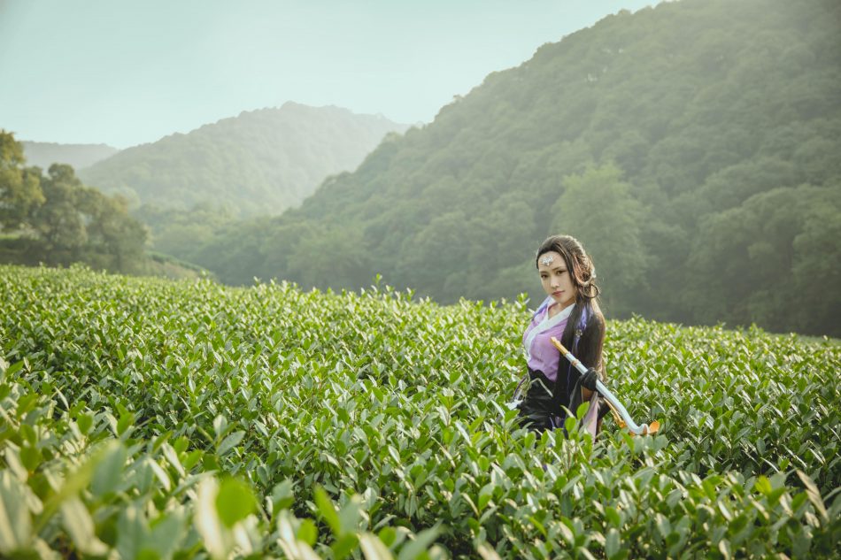 eae19230934b11e5bc5c0bb35a369e45