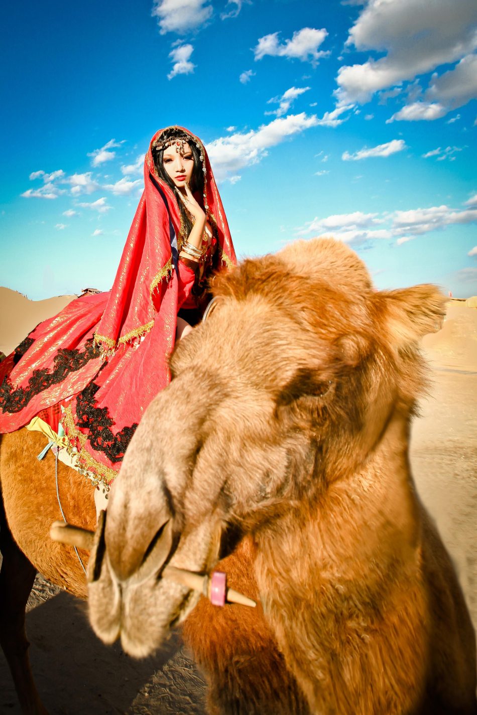 721d0d30bdf211e58c6055605ee5bdce