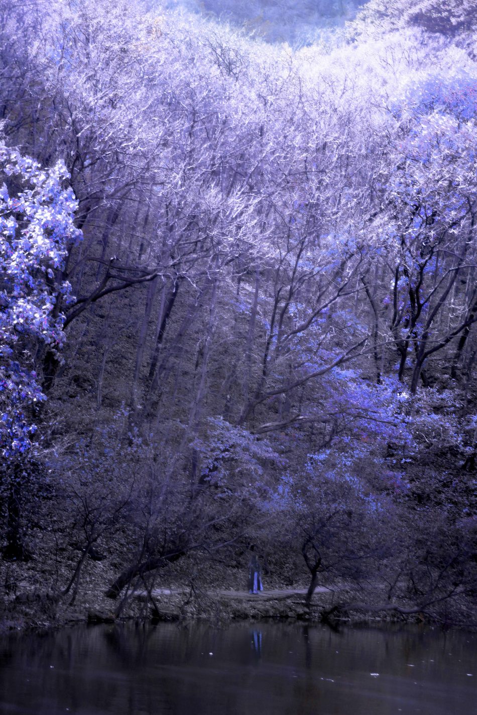 909556f0903911e5b2ec73e020197833