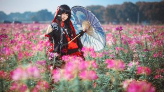 【万花-此去人间不知岁，未解桃源何处寻】出镜：彦合光