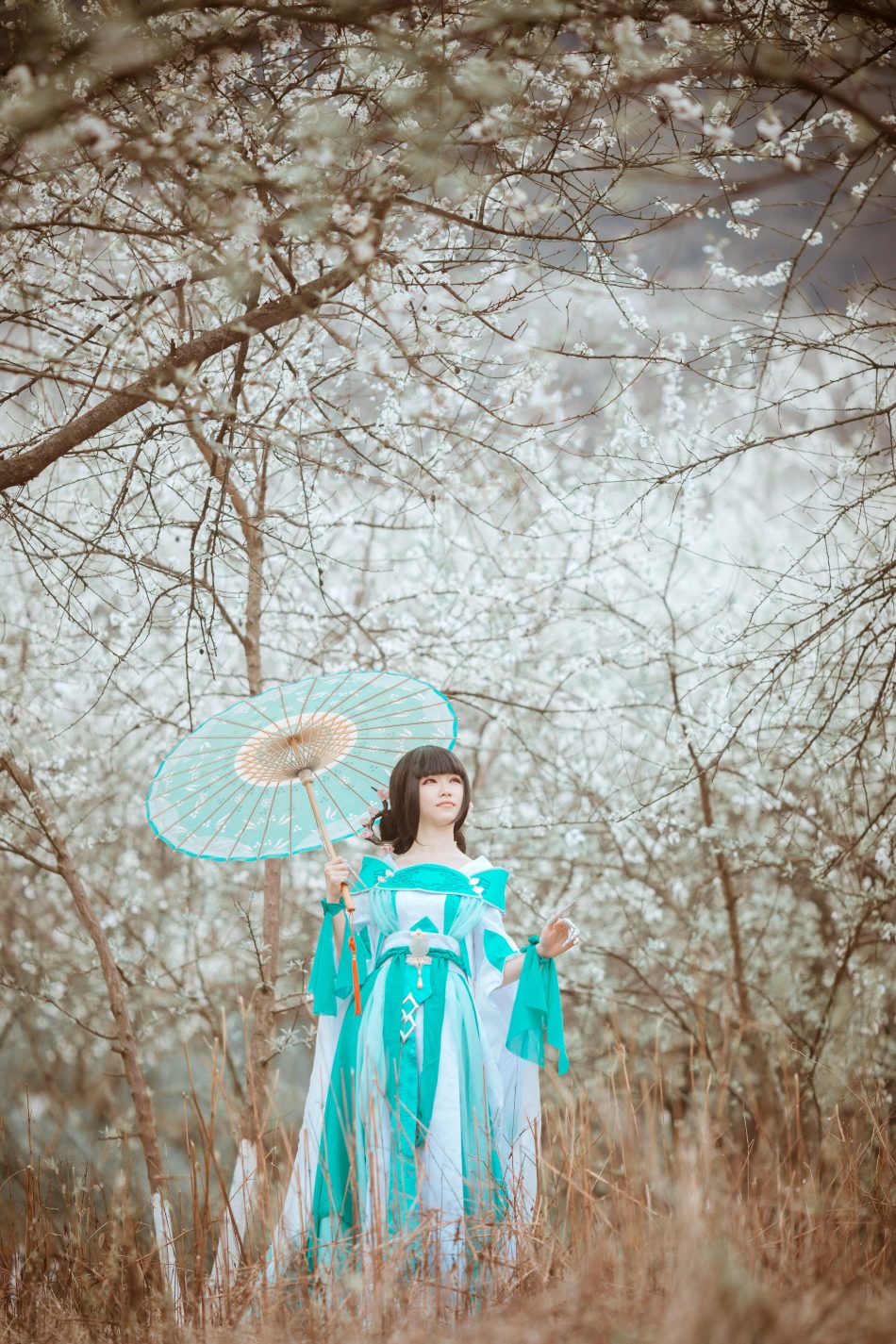 e2d2dad0ecc511e5982af515cbd2f8c6