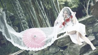 剑三喵姐（同人旗袍）【愿我心之所向处，日月光明盼东归】出镜：卿言