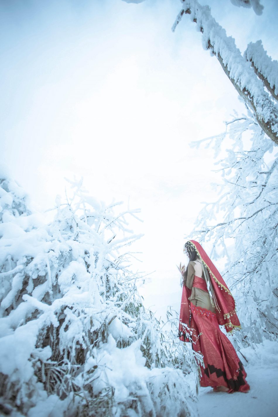 927cf3e0d2ee11e59c08678b5f6a964c