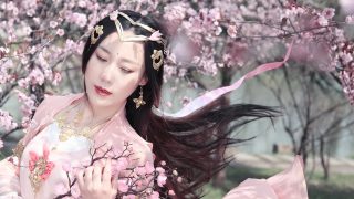 望去茫茫香雪海，亦道春风为我来。出镜：白鹿_Sunny