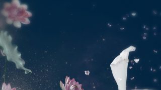 蚩灵七秀成女cos 出镜： 熊熊伊南娜