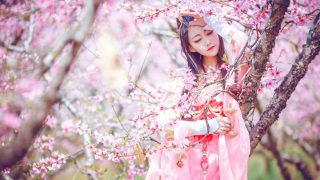 儒风秀姐 出镜： 紫凝