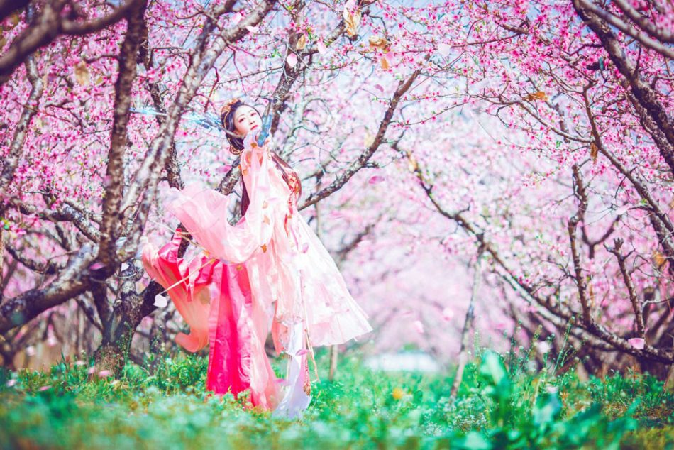 6c71c65a7b704dabbed015d4760631ed