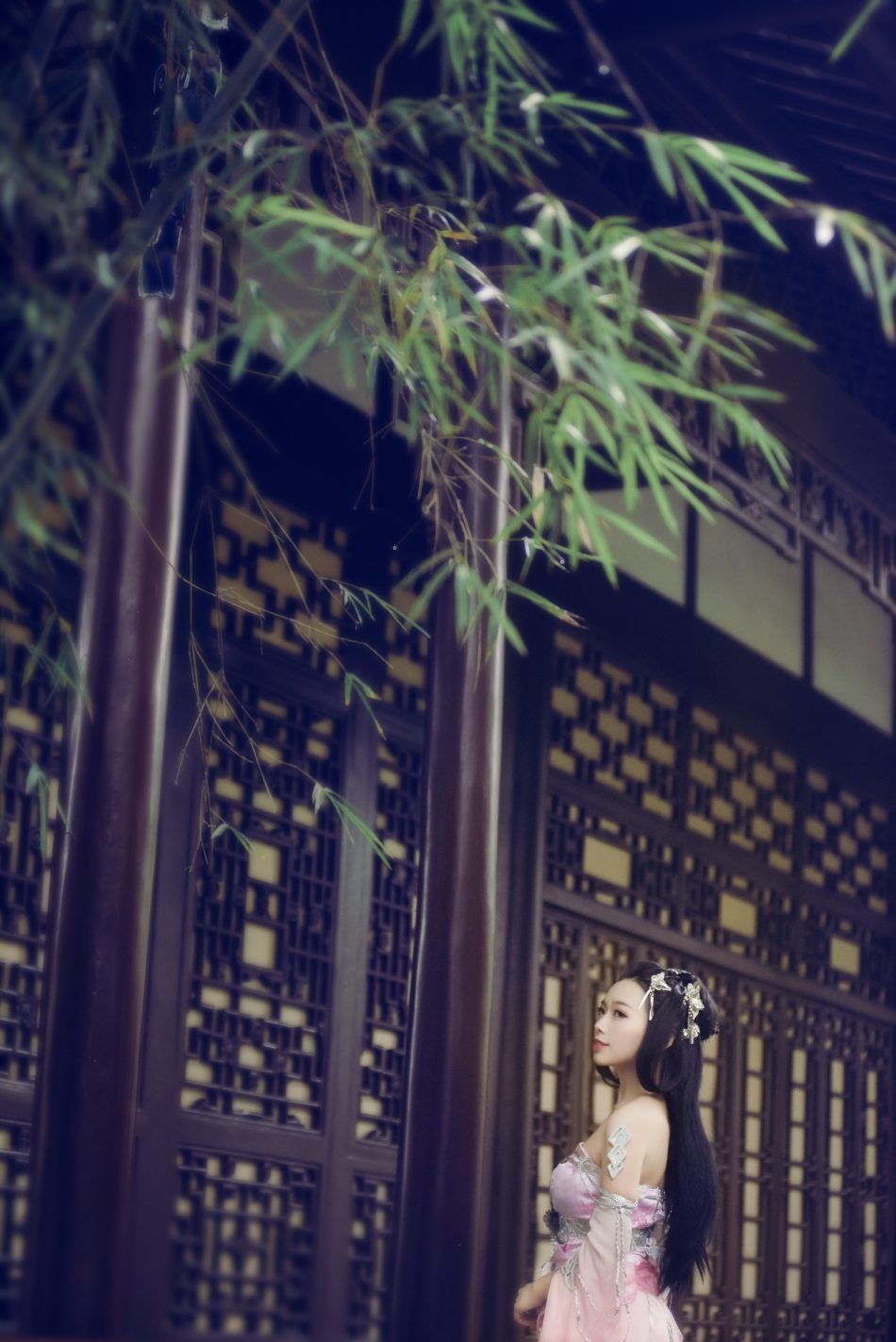 82e3d0f010b611e7a7c513e9017d0319