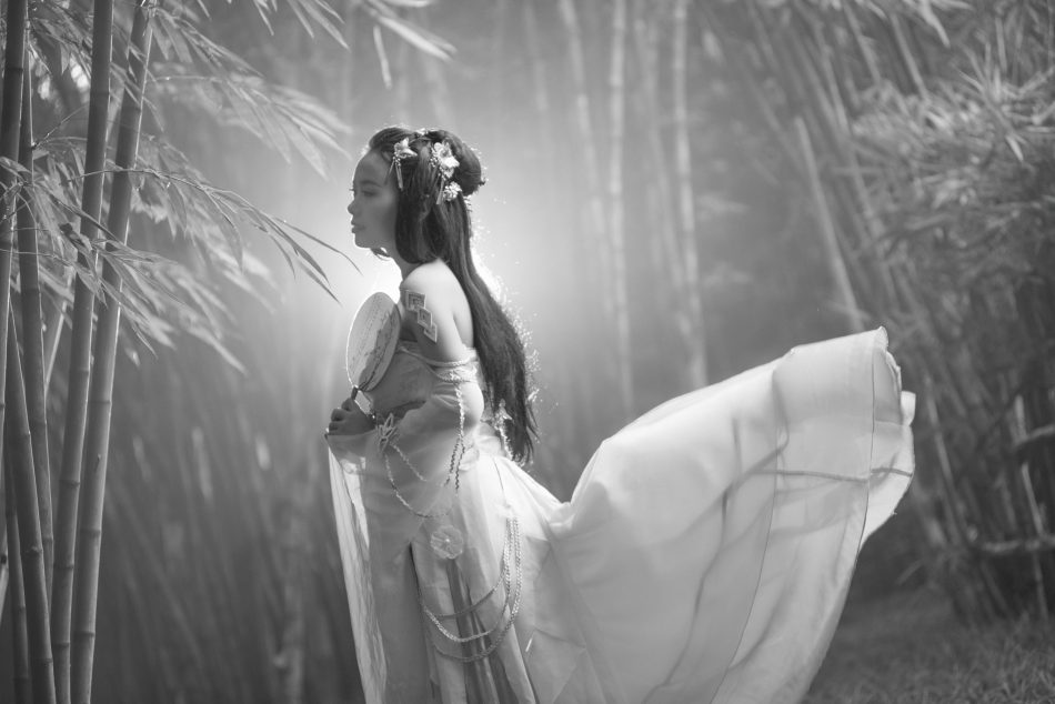 87bc0cf010b611e7a7c513e9017d0319