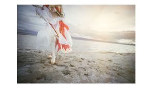 喵姐 出镜： 叶一_是只喵