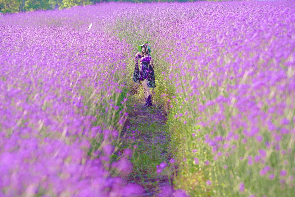 13f5d980701611e7b9c4597f931b8ac9