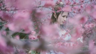 纯阳 cn: 拂袖-红尘