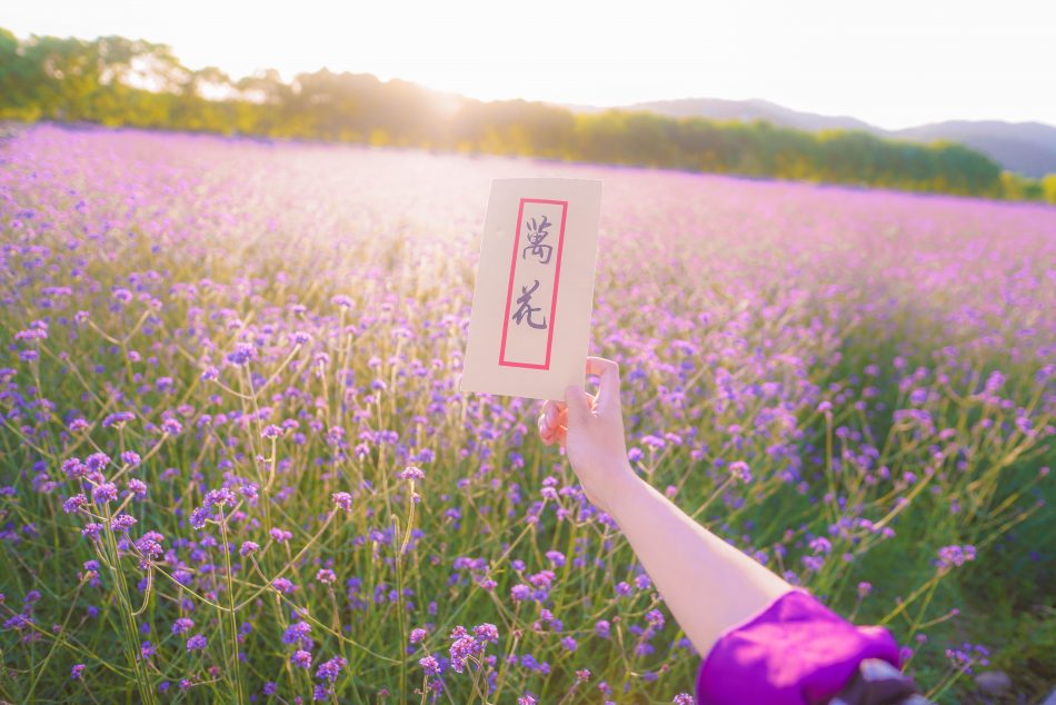 2a918220701611e7b9c4597f931b8ac9