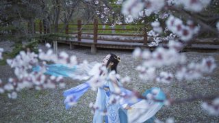 浩气儒风秀姐 出镜： 清暮