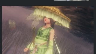 剑网3截图教程 作者：笺池池