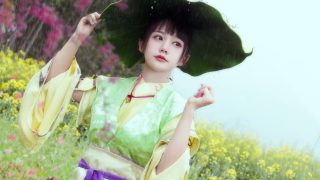 毒萝 出镜： 甲涟鱼鱼