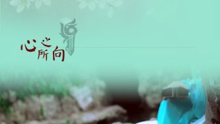琴萝 出镜： 懒井回