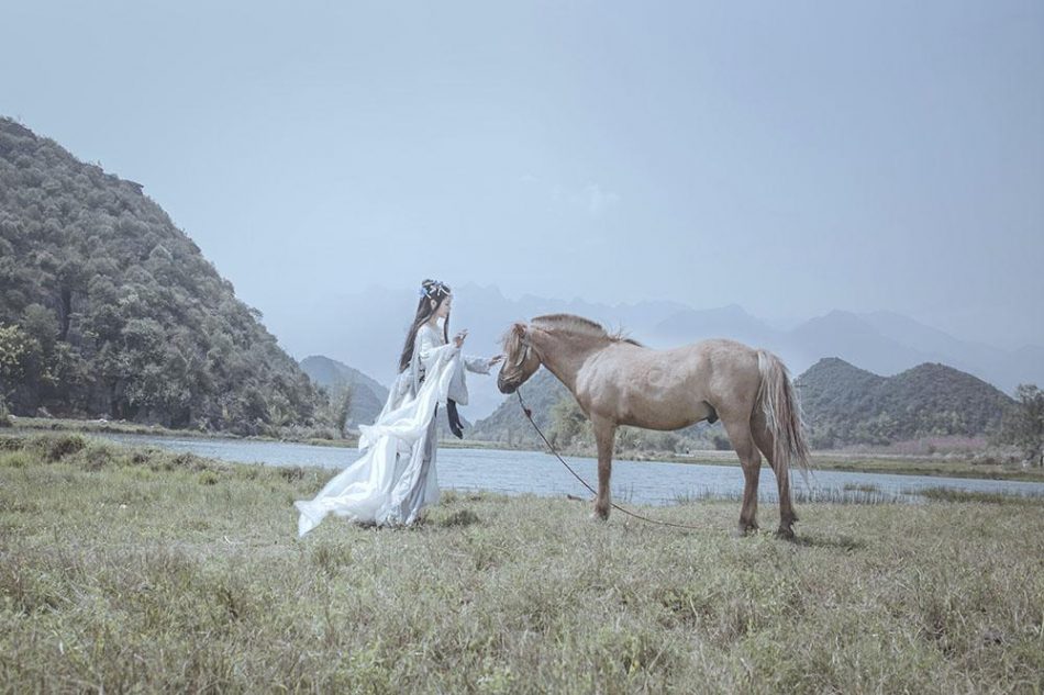 8c910840448e11e890777f580483b538