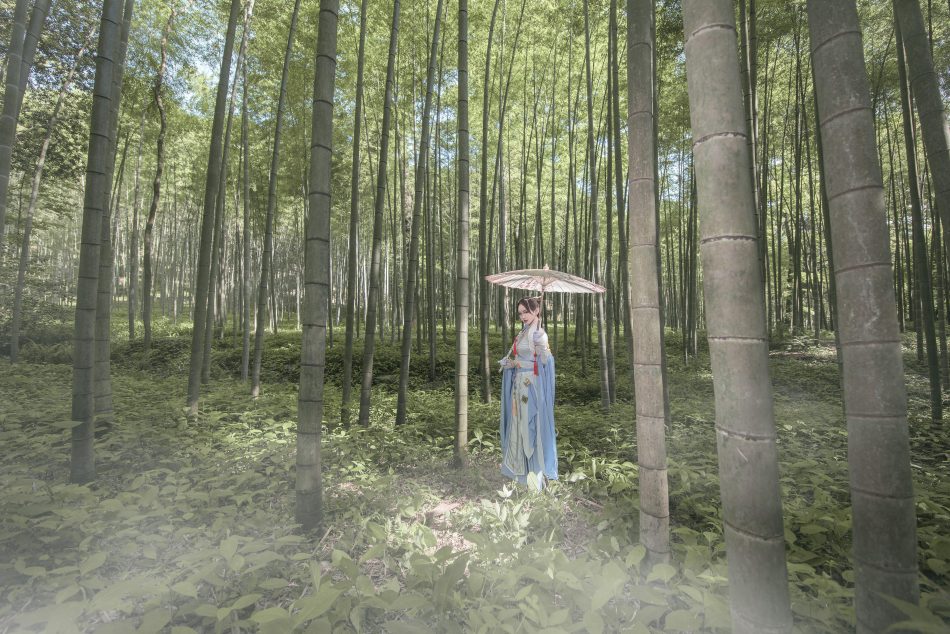 d42c39f0c6e811e7bad94fb068d3c6c0