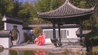 剑网三cos驰冥秀姐 出镜：西子一