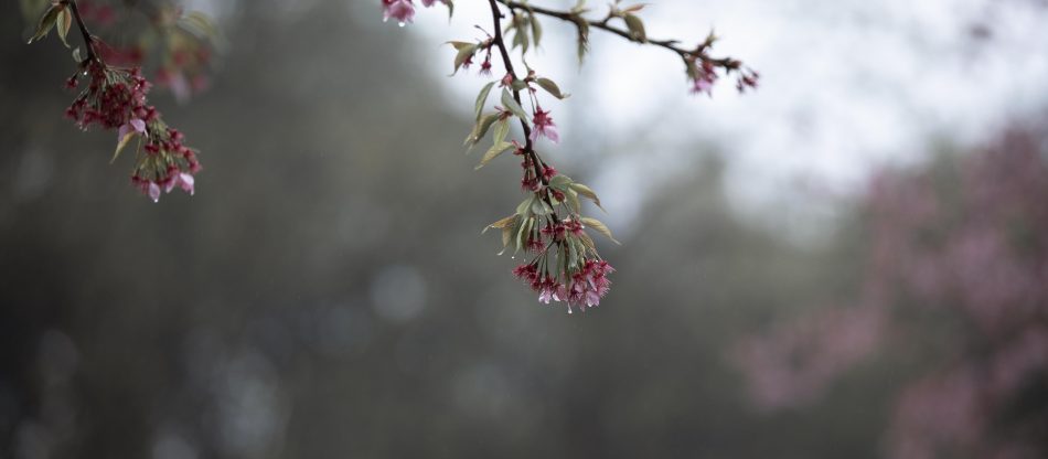 7025929417167739936-4