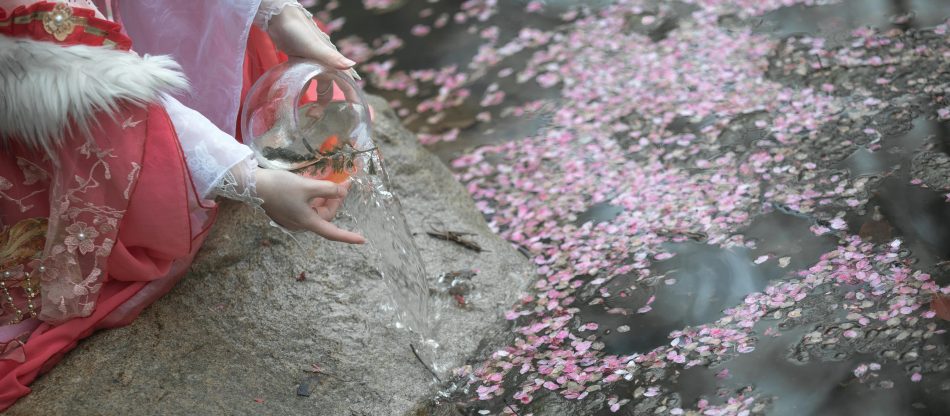 7025929417167739936-5