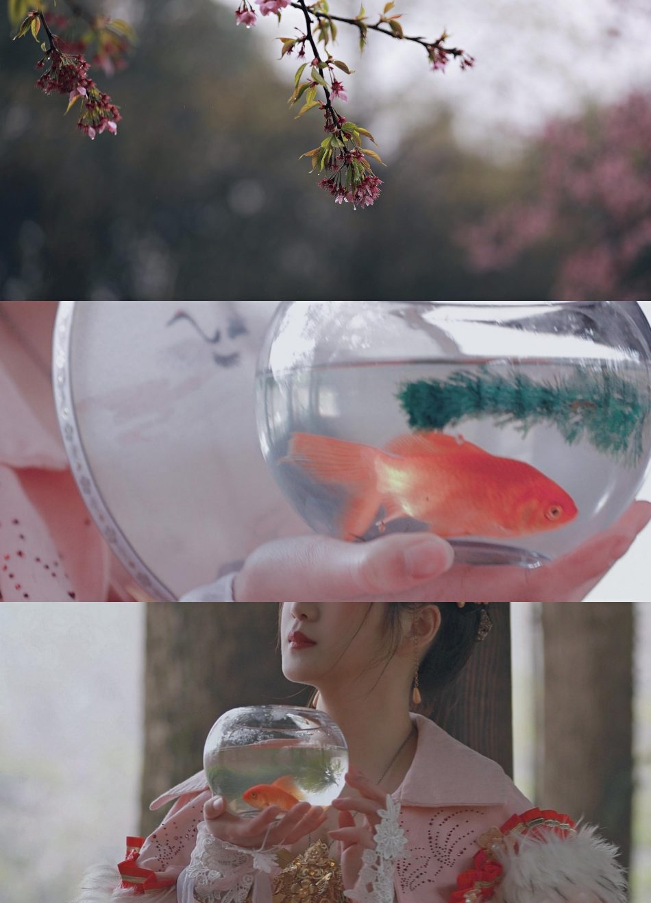 7025929417167739936-1