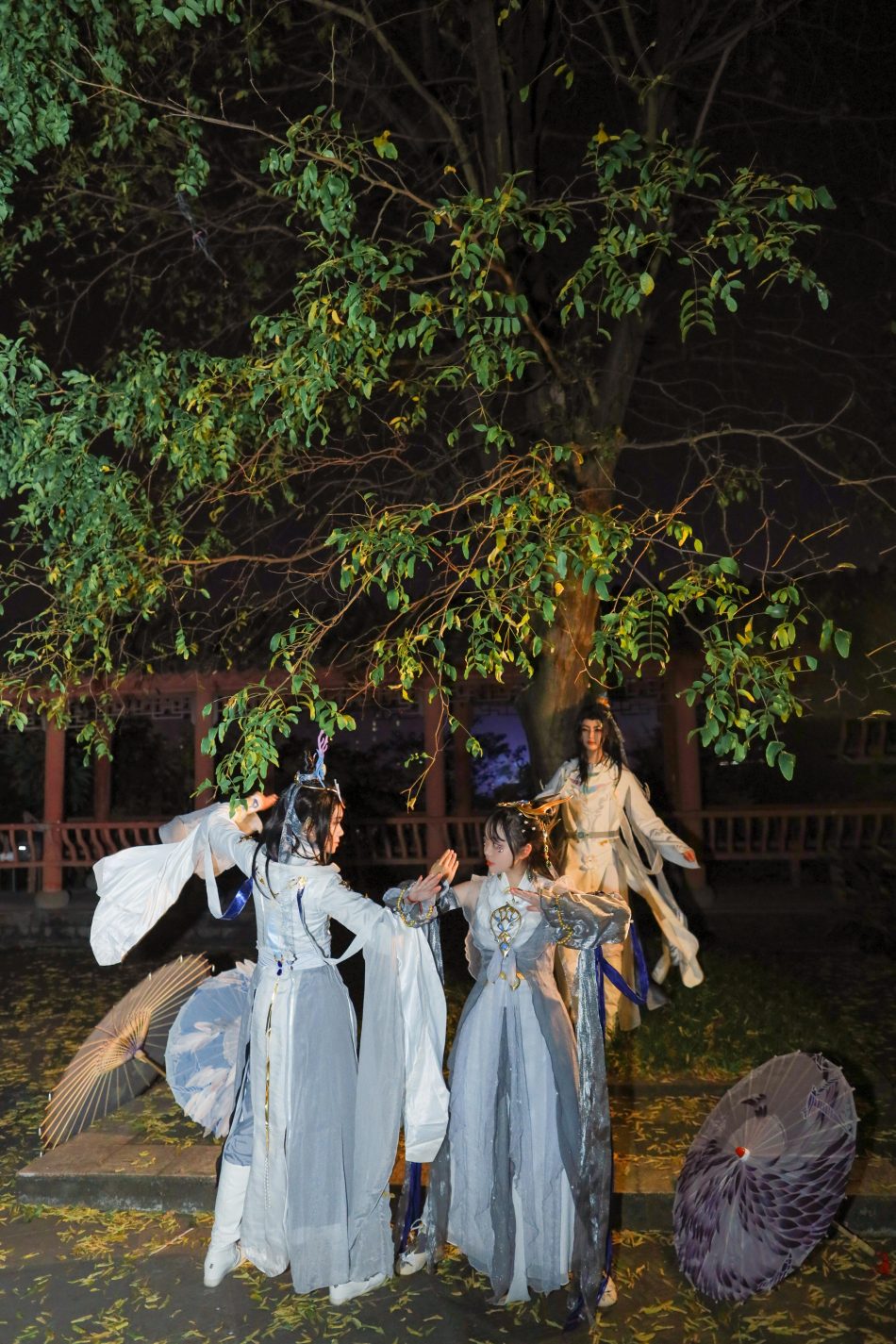 6954314086150577184-5