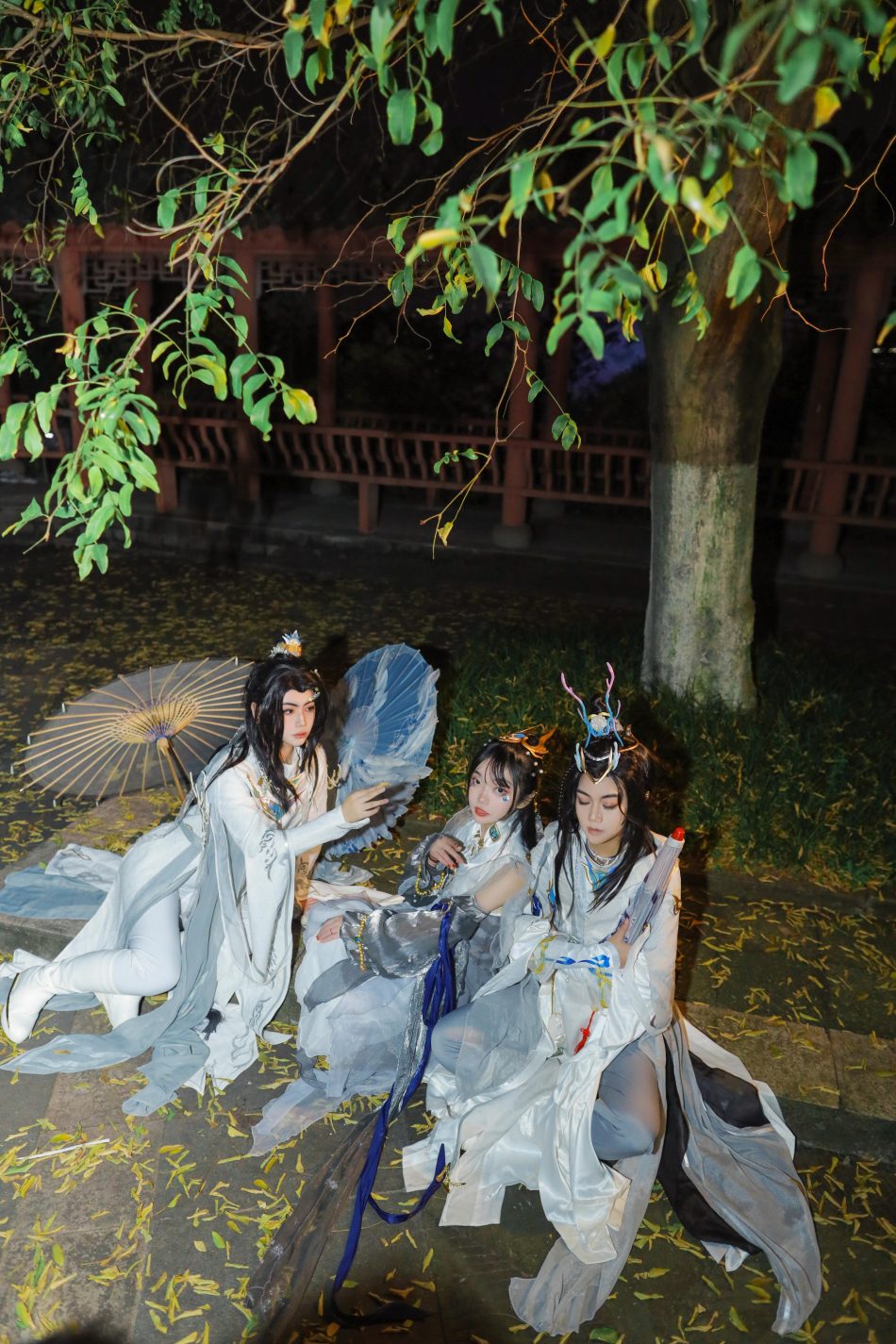 6954314086150577184-3