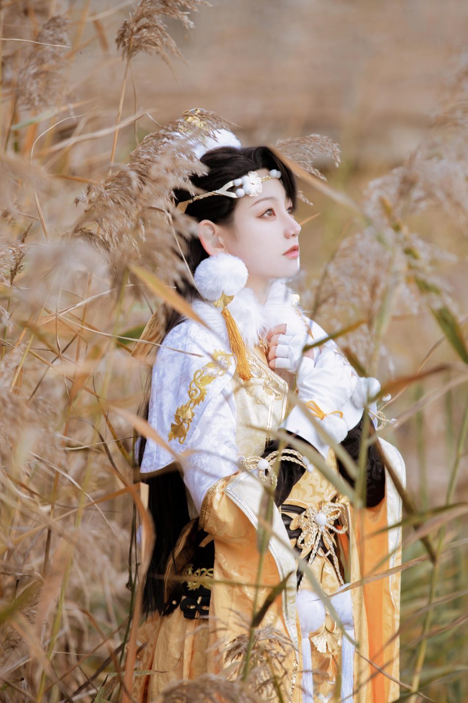 6974181225472728067-0