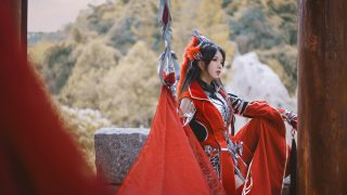 尽诸宵小天策义，长枪独守大唐魂 出镜：君安呀