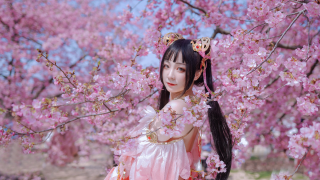 剑网三COS秀萝 出镜：芳蕤森森