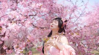 剑网三COS秀萝大哥 出镜：芳蕤森森