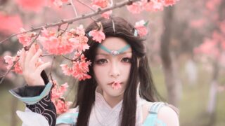 cos正片【剑胆琴心·剑网3·雪河琴娘】出镜：离群的刺