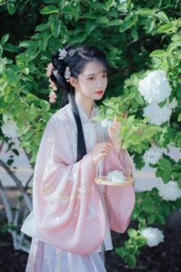 明制 御猫在此 中华木绣球 出镜：橙橙橙橙辰